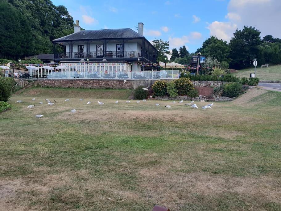 Beach Retreat Village Centre Location Shaldon Eksteriør bilde